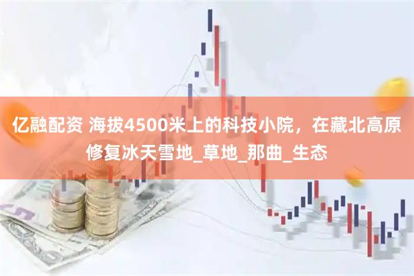 亿融配资 海拔4500米上的科技小院，在藏北高原修复冰天雪地_草地_那曲_生态