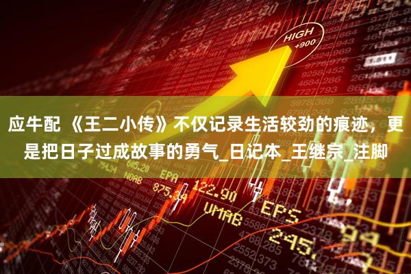 应牛配 《王二小传》不仅记录生活较劲的痕迹，更是把日子过成故事的勇气_日记本_王继宗_注脚