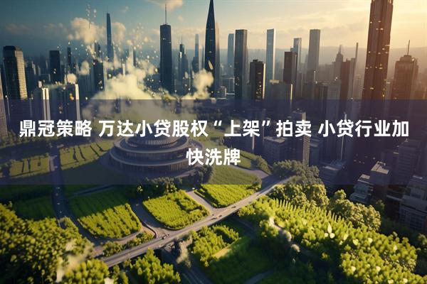 鼎冠策略 万达小贷股权“上架”拍卖 小贷行业加快洗牌