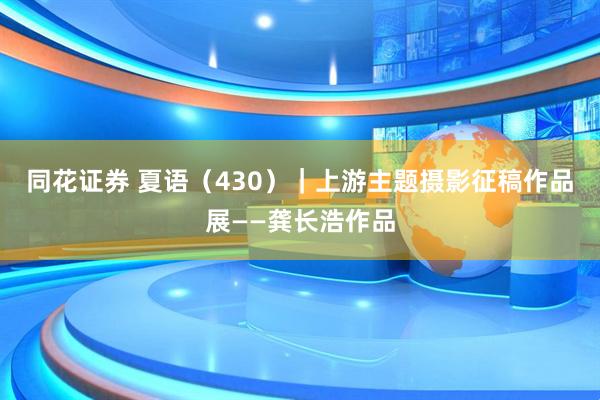 同花证券 夏语（430）｜上游主题摄影征稿作品展——龚长浩作品
